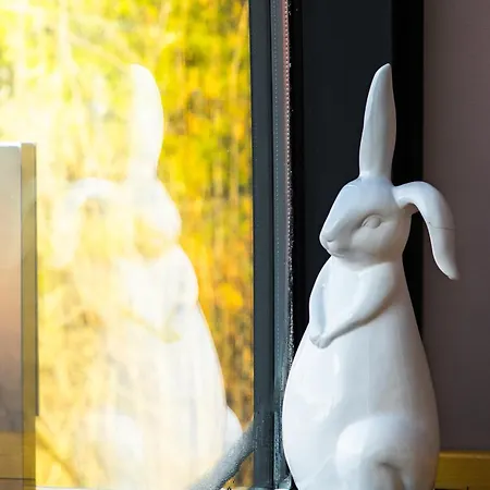 глемленд شقة *